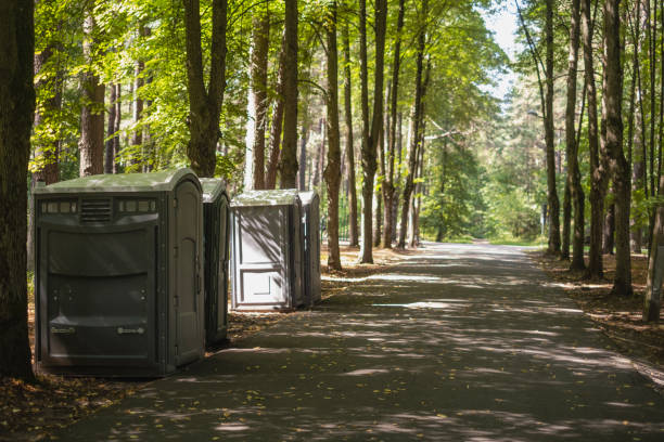 Best Affordable porta potty rental  in Springerville, AZ