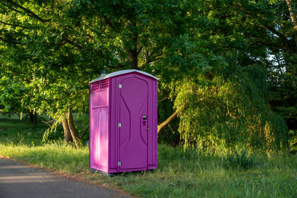 Best Porta potty delivery and setup  in Springerville, AZ